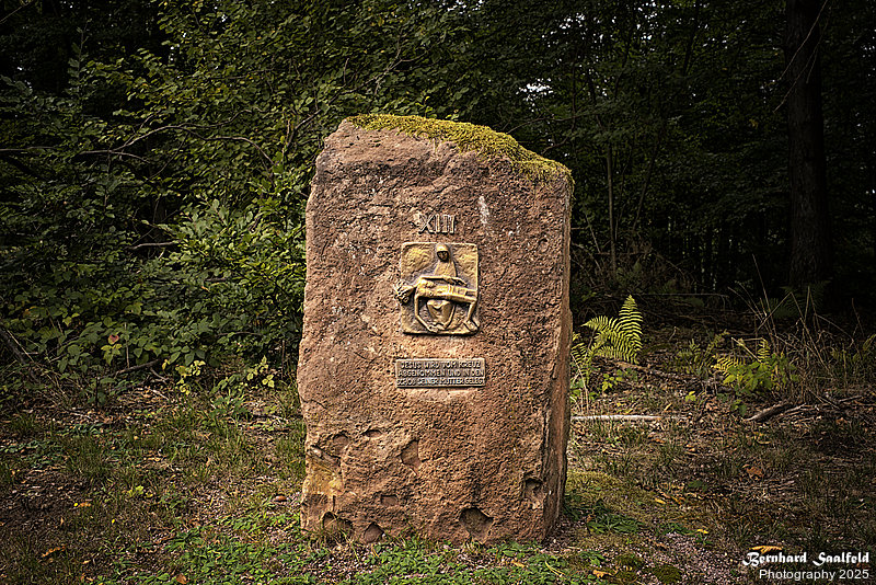 Bernhard Saalfeld - 13 Station